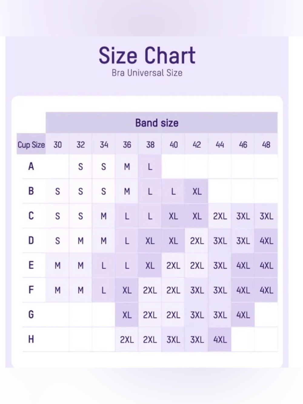 SheCurve Bras - Picture 4 of 4